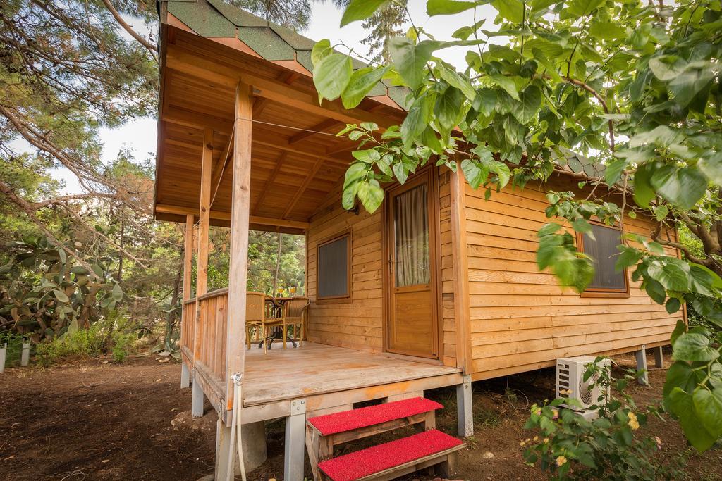 Secret Garden Hotel & Bungalows Çıralı Bilik gambar