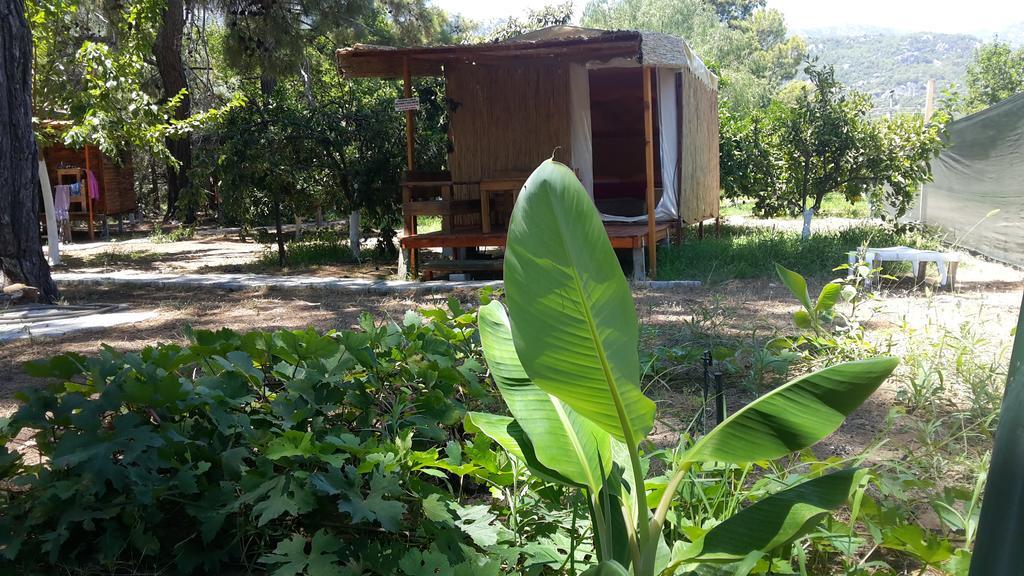 Secret Garden Hotel & Bungalows Çıralı Luaran gambar